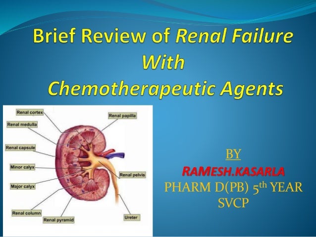 Journal of Renal Nutrition